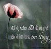 mot-so-cau-noi-xin-loi-bang-tieng-anh.jpg