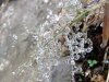 IMG_20180205_112325_HDR.jpg
