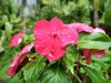 IMG_20170630_144243_HDR.jpg