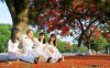 Nu-sinh-dat-Cang-lam-duyen-voi-hoa-phuong-1.jpg Nu-sinh-dat-Cang-lam-duyen-voi-hoa-phuong-1.jpg