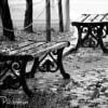 9d223890a8d7b081912ae292e4ac6b34.0.jpeg 9d223890a8d7b081912ae292e4ac6b34.0.jpeg