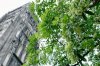 b6bc9cdc726bf72f640adc0ea62860e6.0.jpeg