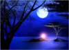 FB_IMG_1531380163116.jpg