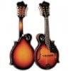 C__Data_Users_DefApps_AppData_INTERNETEXPLORER_Temp_Saved Images_mandolin.jpg