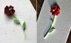 upload_2019-1-23_19-13-26.jpeg