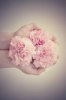 upload_2019-2-5_9-26-42.jpeg