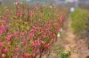upload_2019-2-5_9-33-1.jpeg