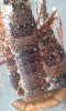 20190210_075204.jpg