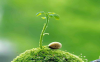 upload_2022-10-15_14-0-13.png