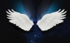 upload_2023-8-7_19-47-40.png