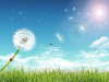upload_2023-10-6_15-13-31.png