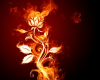 upload_2023-10-16_14-27-27.png