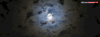 upload_2024-8-28_18-18-38.png
