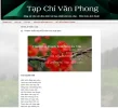 Screenshot 2025-10-01 at 06-36-36 Tạp Chí Văn Phong 92 . THANH TRẮC NGUYỄN VĂN Thơ Xuân Đêm.webp