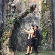 Gianphoithongminhnhapkhau