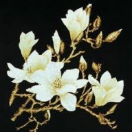 Đinh Hương