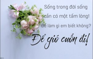 Quỹ Từ Thiện VNO