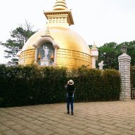 Cá Nguy Hiểm