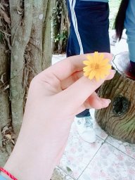 Cỏ Bên Hồ