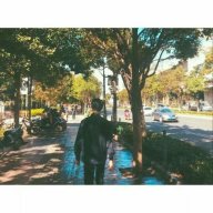 gxxod