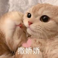 Lông Nhông