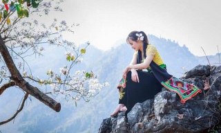 Hoa Gió Tây Bắc