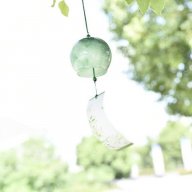 DLSong2011