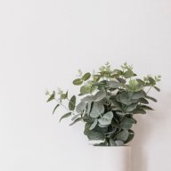 Lạc Lạc Lạc Lạc