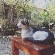 Michi101