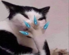 TH Đan