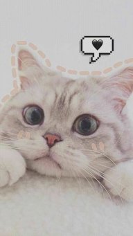 iên iên