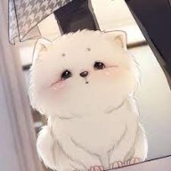 Nhím Xù Su Su