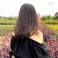 Trương ThiThi