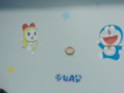 Meo meo An