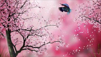Vô Tự