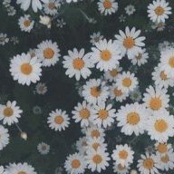 Lê Nguyễn Thiên An