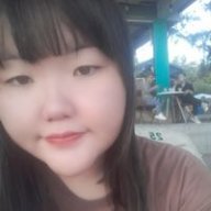 Trần hằng 1504