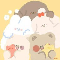 Mèo nhỏ màu vàng