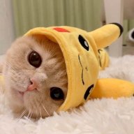 Dưa hấu tháng Tám