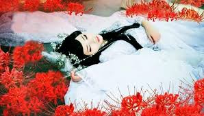 Cố Như Mộng