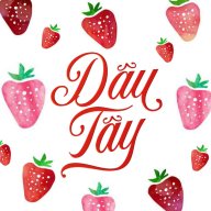 Dâu Tây 08