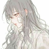 Nguyễn ánh ngọc thị