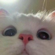 Bốt.o8o2