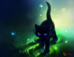 blackcat1206