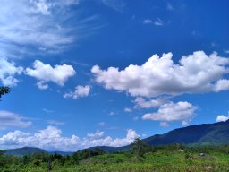 Đinh thị xoa