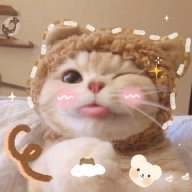 bongkydh