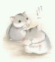 Kỳ Công Tử