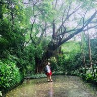 Ngananh0819