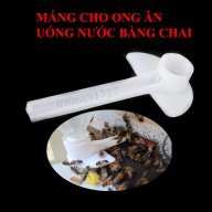 matongthaomoc