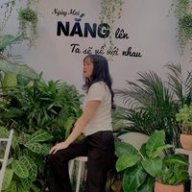 Tuệ Mai